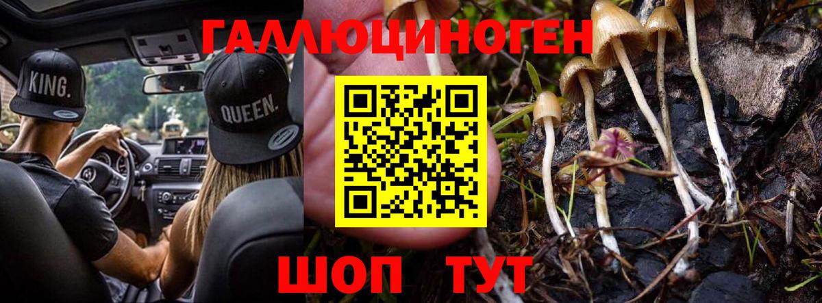 Татарск  Псилоцибиновые грибы Magic Shrooms  Вход с VPN  Галлюциногенные грибы Cubensis 